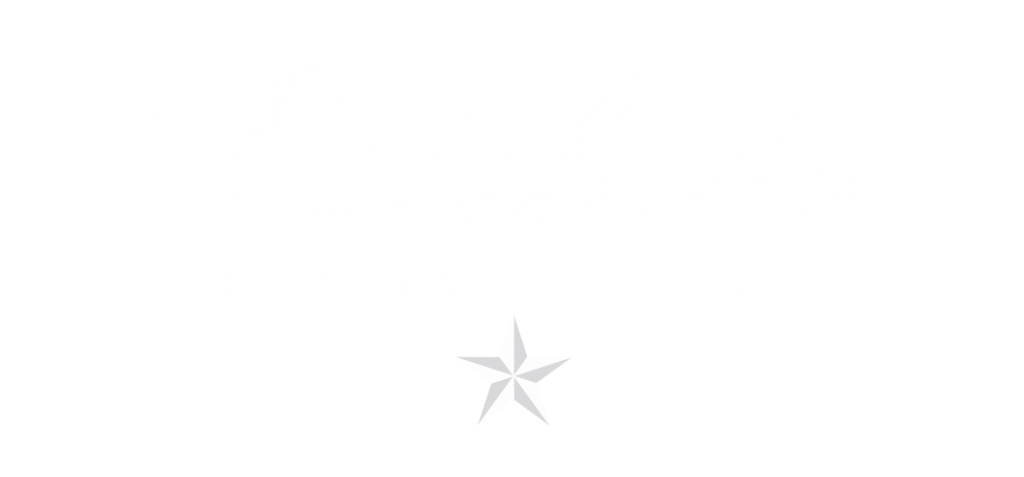 LOGO ESTELADO_BLANCO